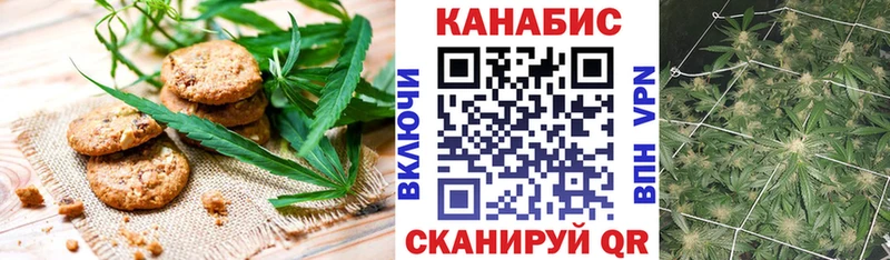 Canna-Cookies конопля  Купить  Мегион 