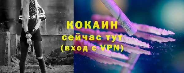 ПСИЛОЦИБИНОВЫЕ ГРИБЫ Заволжье
