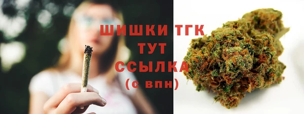 ПСИЛОЦИБИНОВЫЕ ГРИБЫ Заволжье