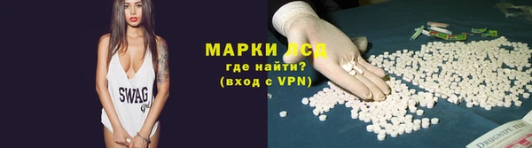 ПСИЛОЦИБИНОВЫЕ ГРИБЫ Заволжье