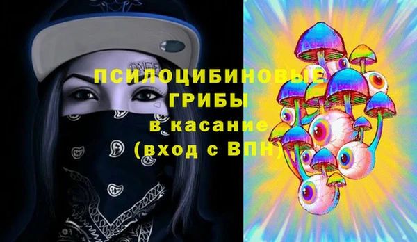 крисы Зерноград