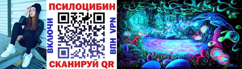 Купить Мегион Галлюциногенные грибы Psilocybe